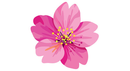 Fototapeta premium Pink cherry blossom flower with transparent background