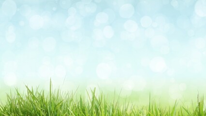 Obraz premium Green grass blades against a soft bokeh background. Spring banner.
