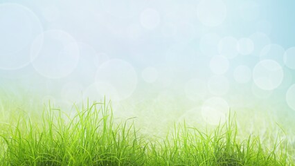 Obraz premium Green grass blades dominate the foreground, with soft light bokeh circles in blurred background.