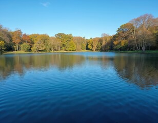 Fototapeta premium Calm lake reflects trees and blue sky on sunny day. Autumn foliage covers forest edge. Ripples disturb still water surface. Peaceful natural scenery invites outdoor leisure.