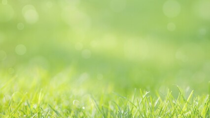 Vibrant spring grass creating a warm, bright nature background with soft bokeh lights © Vero Dibe