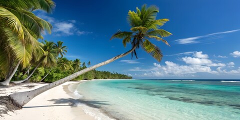 tropical beach with coconut palm trees