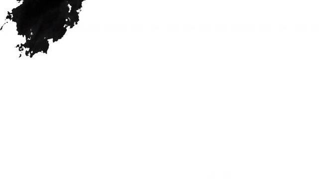 Black and white blots on isolated background