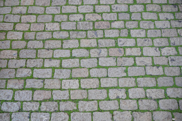 Cobblestone pathway with grass in between the stones