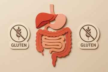 Digestive system anatomy illustration for gluten free diet and health concept. Celiac intolerance awareness with healthy gut, promoting overall wellness and nutrition