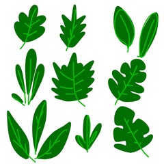 Leaf Icon Illustration Nature Design Elements