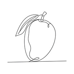 Minimalist Mango Fruit with Leaf Line art Illustration. Fruit Sketch