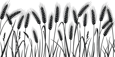 Black wheat silhouette illustration, detailed grain field design, agricultural crop graphic, rustic farming element for nature backgrounds and organic product branding © Farzana