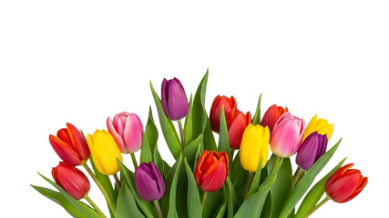 Fototapeta premium Colorful Tulip Bouquet with Red, Yellow, Pink, Purple Blooms.png