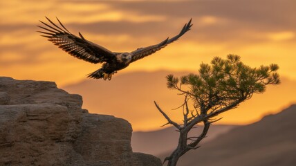 soaring eagle over landscape: A majestic eagle with widespread wings soars gracefully through the warm, golden hues of the setting sun, its silhouette framed against a breathtaking landscape.