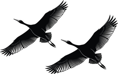 Fototapeta premium Two black silhouette cranes flying in the sky with spread wings, elegant bird illustration for nature and wildlife conservation design.