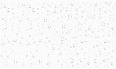 Realistic Water Drop Background with Transparent Droplets, Moisture Condensation, Splash Texture, Dew and Raindrop Effect for Clean Liquid Design