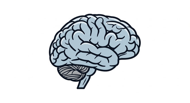 Clean graphic illustration of a human brain, symbolizing intelligence, thought, and mental capabilities. A conceptual icon for education, creativity, and neuroscience