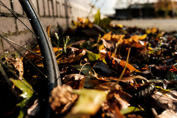 Bicycle wheel resting on fallen autumn leaves street