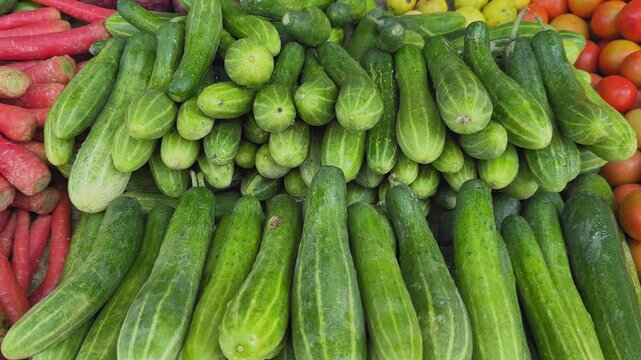 Tracking shot of fresh cucumbers (kheera) stacked in neat piles at an Indian sabzi mandi, showcasing their bright green texture and vibrant market arrangement.
