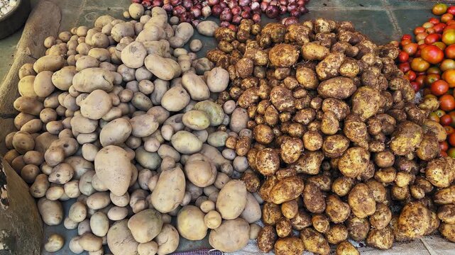 Tracking shot of fresh potatoes (aloo) arranged in large heaps at an Indian sabzi mandi, showing clean and soil-covered varieties with rich natural market texture.