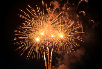 Bright golden fireworks exploding in dark night sky creating beautiful patterns and celebration atmosphere over city festival