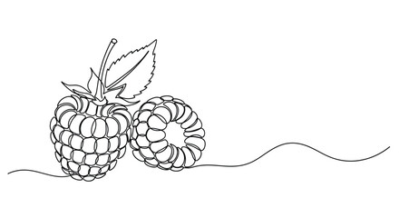 Minimalist single line drawing of two ripe raspberries with a leaf and stem on a white background with a subtle wavy line © Line Home