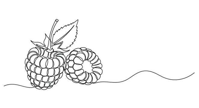 Minimalist single line drawing of two ripe raspberries with a leaf and stem on a white background with a subtle wavy line
