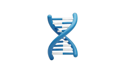 3D DNA Helix Isolated on White Background