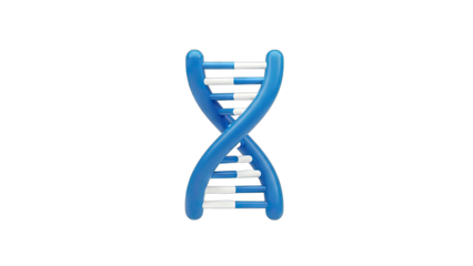 3D DNA Helix Model on White Background