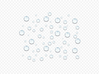 Realistic Water Drop Background with Transparent Droplets, Moisture Condensation, Splash Texture, Dew and Raindrop Effect for Clean Liquid Design