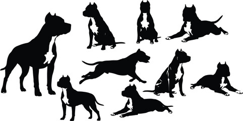 Stylized dog silhouette set, black vector icons, white chest and paws, sitting, standing, running, lying poses, pet illustration