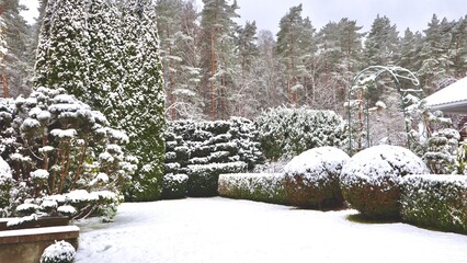Snow covering a decorative garden with topiary shrubs and evergreen trees under a winter sky