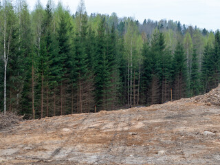Cleared forest area. Deforestation and timber extraction. Environment and ecology. Landscape with and without trees