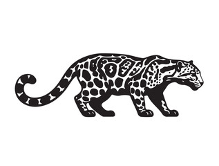 Clouded Leopard white background.