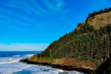 Fototapeta premium Cape Pertpetua Scenic Area on the Oregon coast