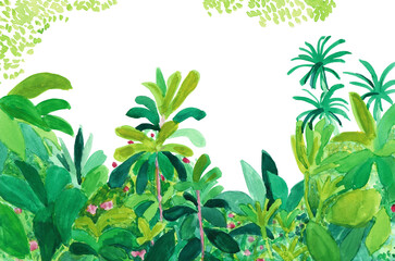 手描きイラスト　生い茂る植物