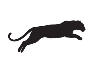 Leopard in silhouette white background.