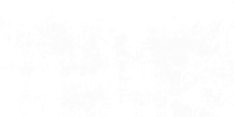 Abstract white monochrome vector background, for design brochure, website, flyer. Geometric white wallpaper for certificate, presentation, landing page