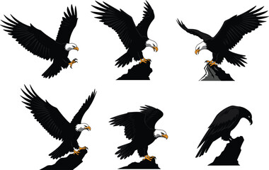 Bald eagle flying landing silhouettes, American eagle bird poses, wildlife predator illustration set isolated on white background