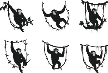 Chimpanzee silhouette cartoon set swinging on vines, playful monkey poses in jungle, black and white wildlife illustration design © Shuvo creative
