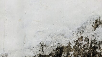 Severe mould and water damage on a white concrete wall. Dirty black fungal growth background texture.