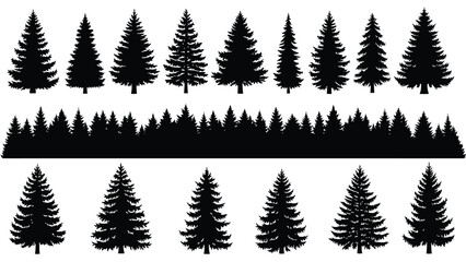 Silhouettes of coniferous trees a forest landscape in black and white © msunny93