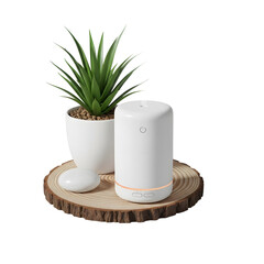 Minimalist white essential oil diffuser with succulent plant on transparent background