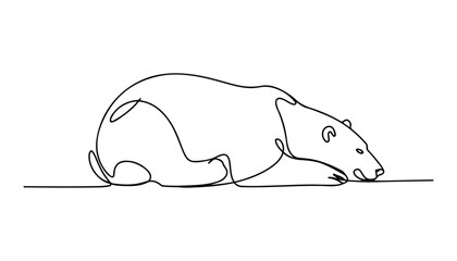 One continuous line illustration of an polar bear , isolated on white background. © line