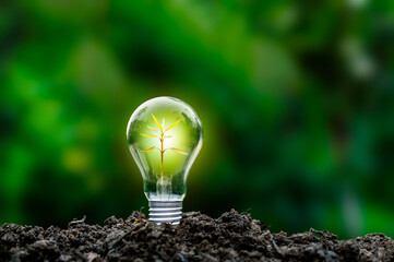 Renewable energy concept Earth Day or environment protection Hands protect forests that grow on the ground and help save the world.