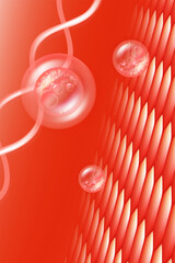 Hyaluronic acid and Niacinamide hair and skin solutions ad, red collagen serum drops into skin cell with cosmetic advertising background ready to use, illustration vector.