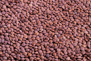 Closeup red lentil pellets covering surface, dense uniform texture, saturated tones, industrial supply context, suitable for packaging, logistics and commodity marketing