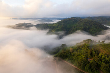 Landscape of Morning Mist with Mountain Layer. mountain ridge and clouds in rural jungle bush forest