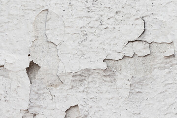 Light Gray Stucco Wall Texture. Abstract Background