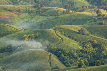 Landscape of Morning Mist with Mountain Layer. mountain ridge and clouds in rural jungle bush forest