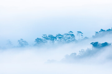 Landscape of Morning Mist with Mountain Layer. mountain ridge and clouds in rural jungle bush forest