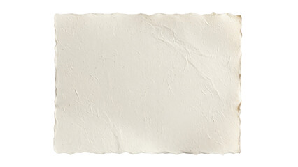 Vintage Offwhite Handmade Paper Texture With Deckled Edges