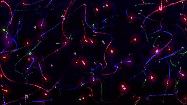 christmas light handdrawn background stopmotion, colorful scribble pencil crayon etch lines on black background, drawing overlay animation, particle lines