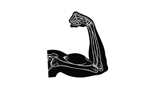 An illustration of a flexed arm displaying muscular and skeletal anatomy